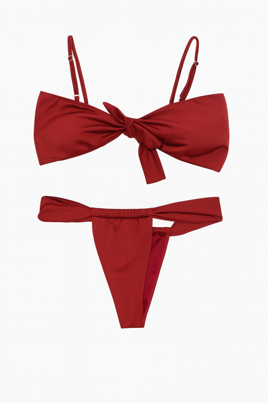 TERNO DE BAÑO BIKINI + TOP VINO